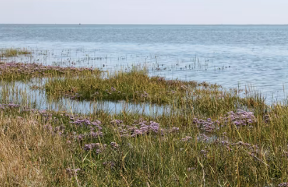 Boottijden Schiermonnikoog